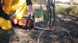 Best Weed Control  in Amesti, CA